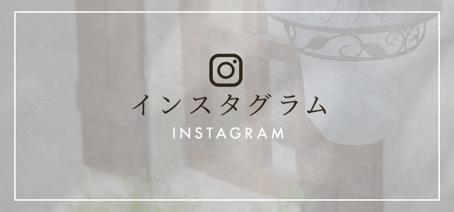 sp_bnr_insta